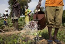 Understanding Agricultural Certification/Labelling