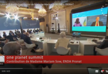 One planet Summit: Contribution of Mrs Mariam SOW,ENDA PRONAT