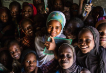 Population growth: an opportunity for Niger and Africa