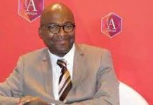 The rediscovery of local African cereals as essential vectors of the sovereignty of countries, By Ze Belinga