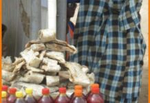 Red gold: a history of palm oil in West Africa